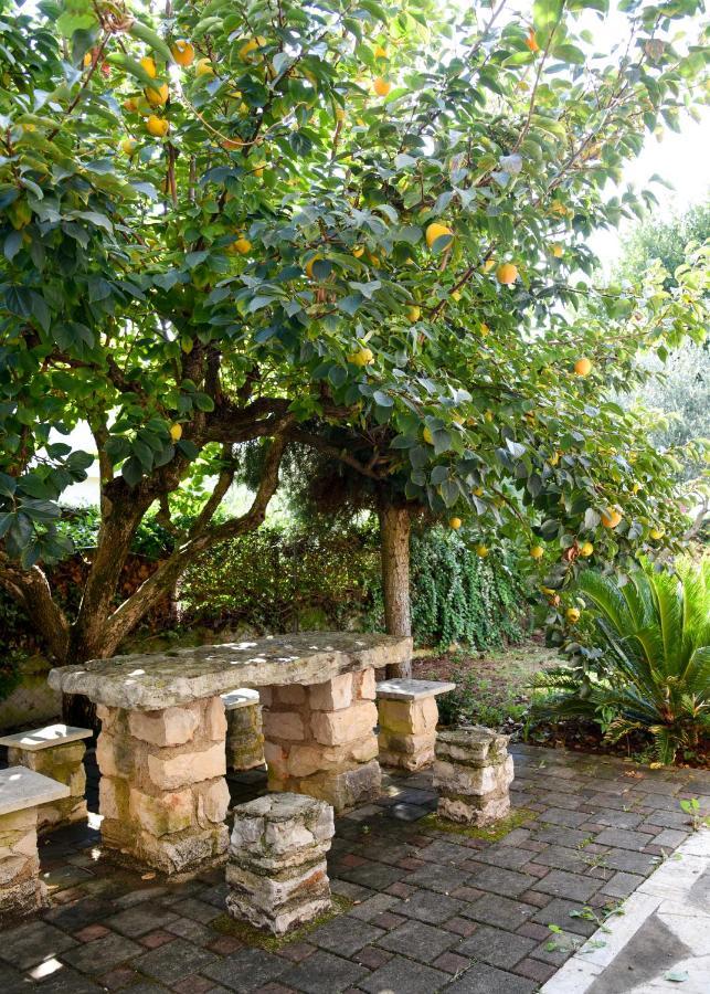 Teodora Maria Apartamento Novigrad Istria